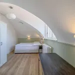 Luma Terra Hostel *